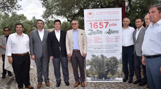 1657 YAŞINDAKİ AĞACIN ALTINDA FOTOĞRAF SERGİSİ