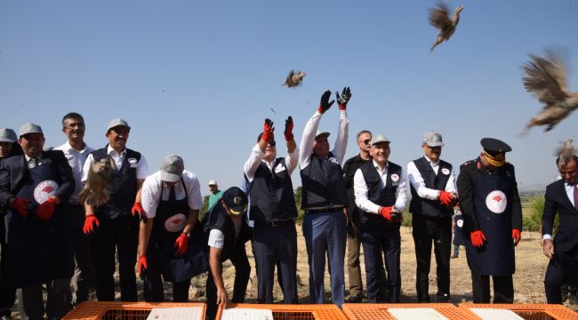 TARIM ALANLARI KINALI KEKLİKLERE EMANET