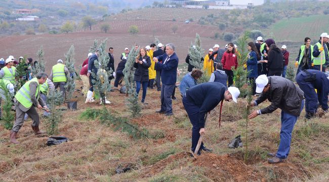 TURGUTLU'DA 3 BİN 71 FİDAN TOPRAKLA BULUŞTU