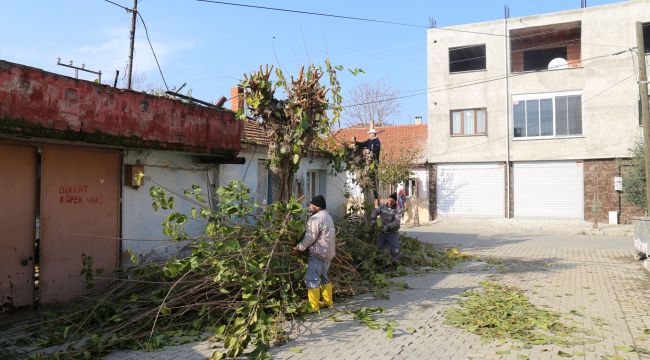 İHTİYAÇ SAHİBİ AİLELERE YAKACAK YARDIMI OLUYOR