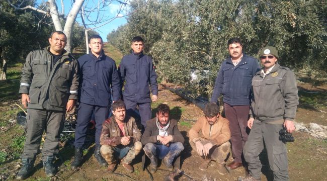 PİTBULL'LA KİRPİ AVLAYAN 3 KİŞİYE PARA CEZASI 