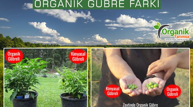 ORGANİKTARIMSA ÇİFTÇİNİN YÜZÜNÜ GÜLDÜRÜYOR
