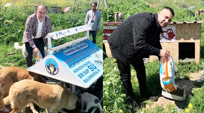 SOKAK HAYVANLARI UNUTULMUYOR