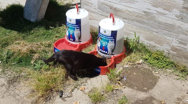 CAN DOSTLAR UNUTULMUYOR