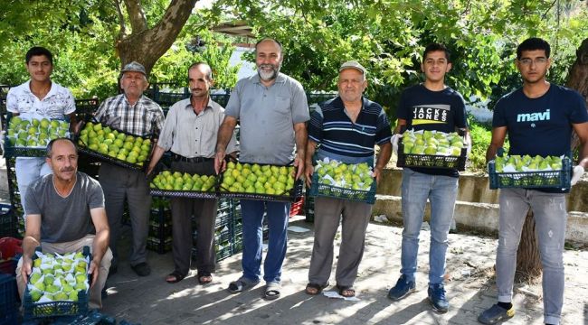 TURGUTLU'NUN ‘YEDİVEREN’ İNCİRİ, AYDIN İNCİRİ DİYE SATILIYOR