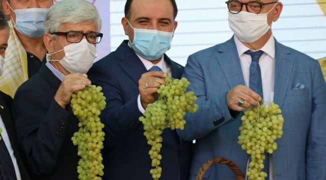 BAYBATUR; "BU YIL ÜZÜM YÜZ GÜLDÜRÜYOR"