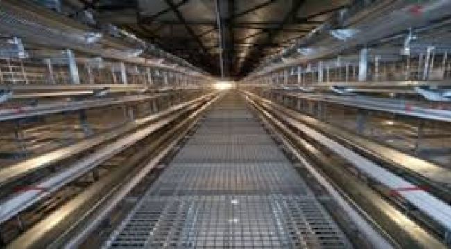 POULMECH KAFES FABRİKASI ELEMAN ARIYOR