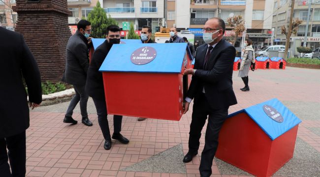 SOKAK HAYVANLARI YENİ YUVALARINA KAVUŞTU