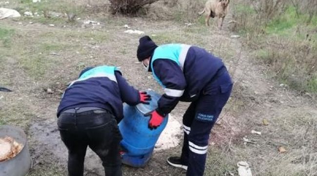 SOĞUK KIŞ GÜNLERİNDE SOKAK HAYVANLARI UNUTULMUYOR