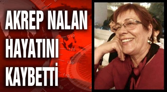 AKREP NALAN HAYATINI KAYBETTİ