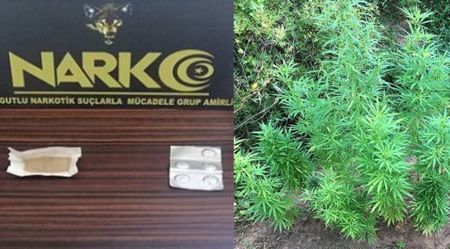 TURGUTLU'DA POLİS VE JANDARMA’DAN UYUŞTURUCU OPERASYONLARI