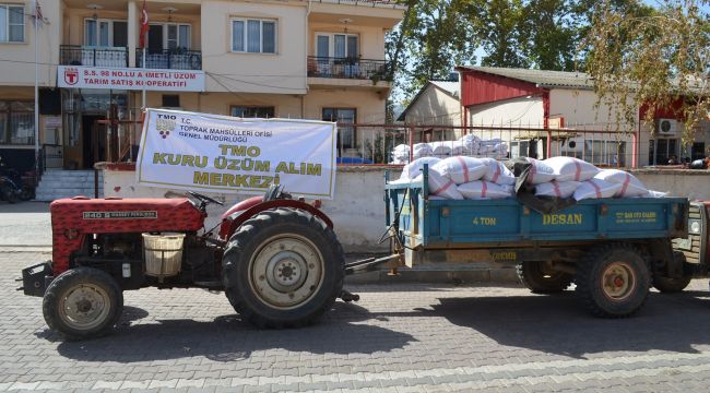 TMO AHMETLİ’DE KURU ÜZÜM ALIMINA BAŞLADI