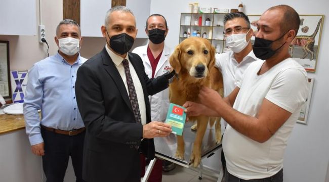 MANİSA’DA SAHİPLİ KÖPEKLERE MİKROÇİP UYGULAMASI BAŞLADI