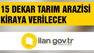 15 DEKAR TARIM ARAZİSİ KİRAYA VERİLECEK