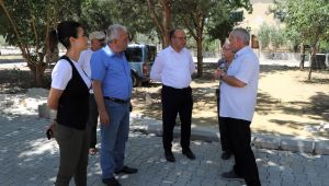 BAŞKAN ÇETİN AKIN SAHA ÇALIŞMALARINI YERİNDE İNCELEDİ