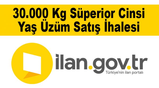 30.000 Kg Süperior Cinsi Yaş Üzüm Satış İhalesi