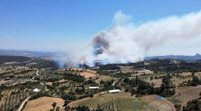 GÖRDES&#039;TE YANGIN!  ORMANLIK ALANA SIÇRADI