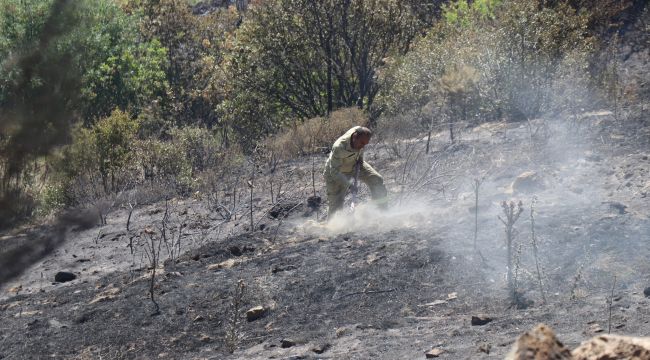 GÖRDES YANGININDA 185 HEKTAR ALAN ZARAR GÖRDÜ; 2 KİŞİ GÖZALTINDA