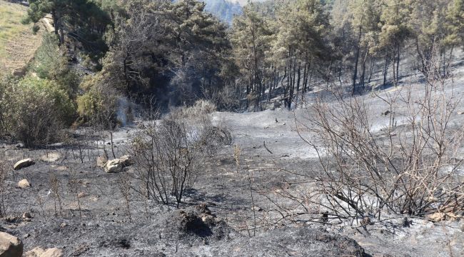 ORMANLARA GİRMEK YASAKLANDI