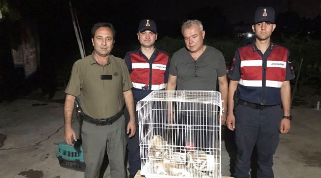 YUVASI BOZULMUŞ PAÇALI BAYKUŞLARA JANDARMA SAHİP ÇIKTI