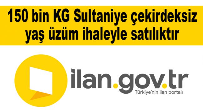 150 bin KG Sultaniye çekirdeksiz yaş üzüm ihaleyle satılıktır