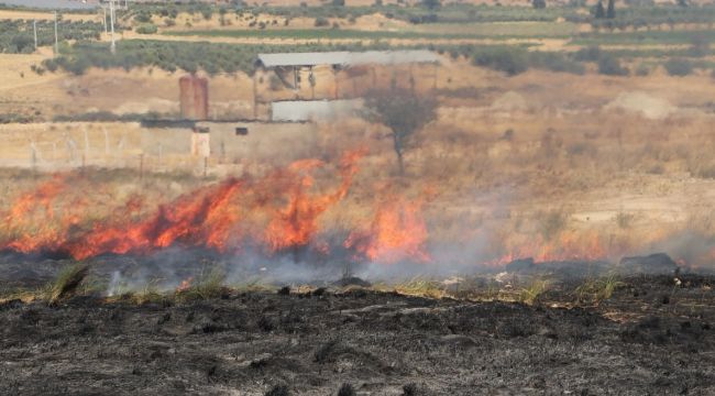 ANIZ YAKANLARA AĞIR CEZALAR UYGULANACAK