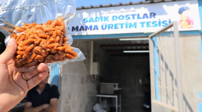 MAMA ÜRETİM TESİSİ AÇILIYOR