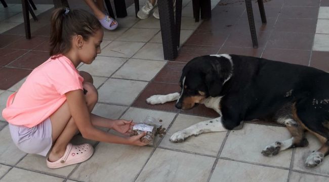 ÖĞRENCİLERİN BAYRAM HARÇLIKLARI CAN DOSTLARA MAMA OLDU