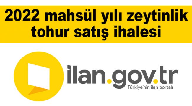 2022 mahsül yılı zeytinlik tohur satış ihalesi