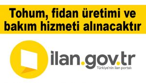 Tohum, fidan üretimi ve bakım hizmeti alınacaktır