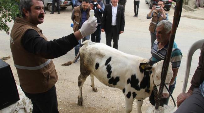 Sarıgöllü Hayvan Üreticilerine Antiparaziter Preparat Desteği