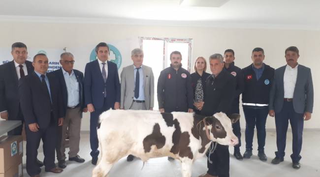 Selendili Hayvan Üreticileri Büyükşehir Desteği