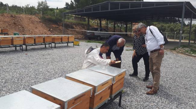 Arıcılık Eğitim ve Ana Arı Üretim Merkezi’nde Üretilen Ana Arılar Teslime Hazır