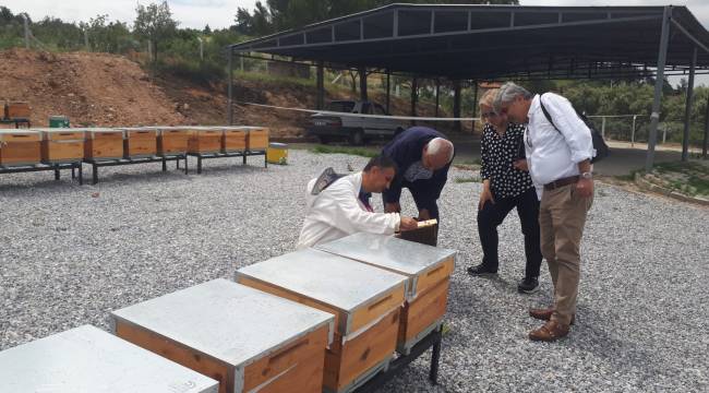   Arıcılık Eğitim ve Ana Arı Üretim Merkezi’nde Üretilen Ana Arılar Teslime Hazır