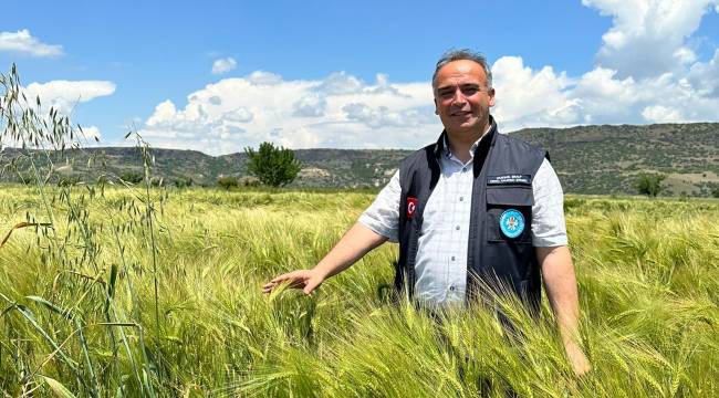 Büyükşehir’in Dağıttığı Arpa ve Buğday Tohumları Verimliliğiyle Yüz Güldürdü