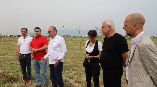 Irlamaz İkinci Etap Yeşillendi