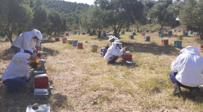 Arıcılık Eğitim Merkezinde Yeni Dönem Büyük İlgiyle Başladı