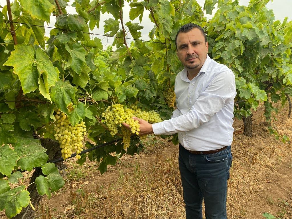 CHP’li Başevirgen, “Kuru Üzüm Taban Fiyatı 65 Liranın Altında Olmamalı”