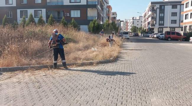 YUNUSEMRE’DEN OT BİÇME ÇALIŞMASI