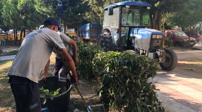 YUNUSEMRE’DEN YENİMAHALLE’DE PARK BAKIMI