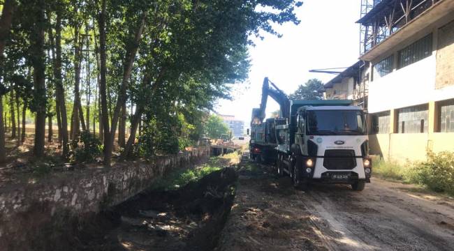 Daha Sağlıklı Bir Çevre İçin Seyitali Mahallesinde Dere Temizliği