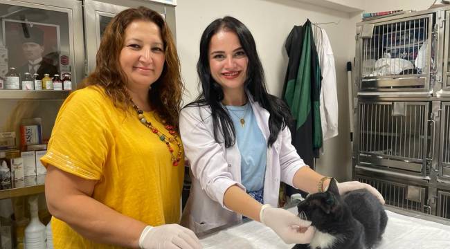 Minik Patiler Kliniği’nde 1000. Kısırlaştırma Gerçekleştirildi