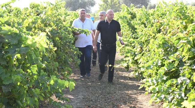 Tarım İşçilerinin Koruyucu Ekipmanları Büyükşehir’den