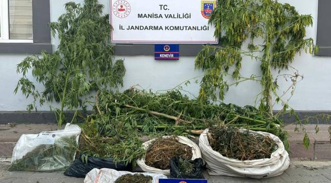 Ahmetli'de Uyuşturucu Operasyonu