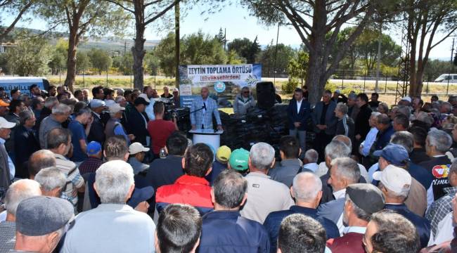 Büyükşehir’den Zeytinin Başkentinde Üreticiye Destek