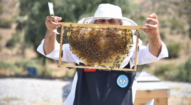 Büyükşehir’den Arıcılara Yeni Bir Destek Geliyor