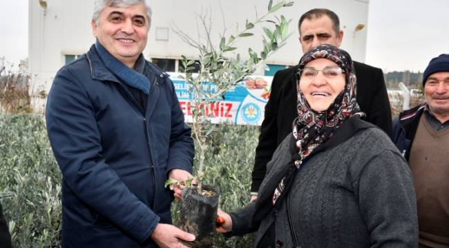 Büyükşehir Üreticiye Bu Kez de Fidan Desteği Veriyor