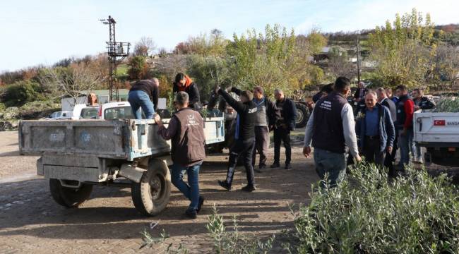 Yangın mağdurlarına Büyükşehir’den fidan desteği