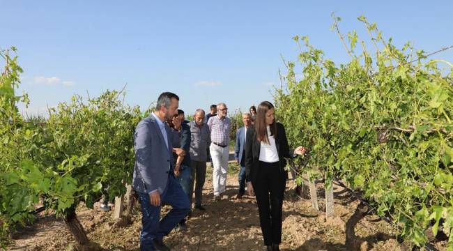 BAŞKAN DURBAY ZARAR GÖREN ARAZİLERDE İNCELEMELERDE BULUNDU
