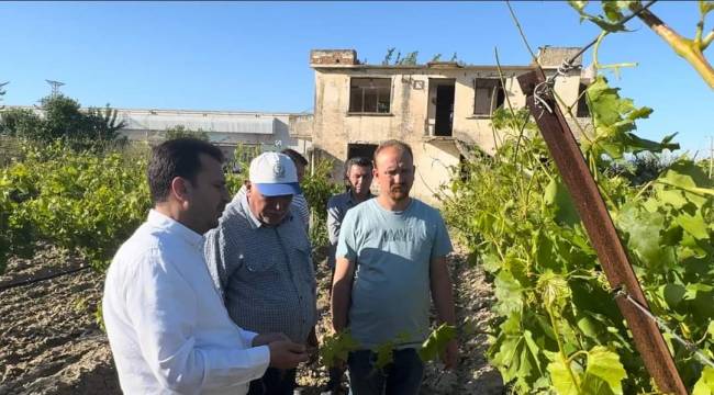 DOLU YAĞIŞINDAN ETKİLENEN ÜZÜM ÇİFTÇİSİ CHP’Lİ BAŞEVİRGEN’E DERT YANDI